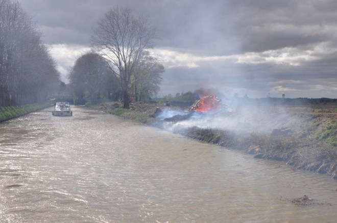Canal du midi plane trees being burned
