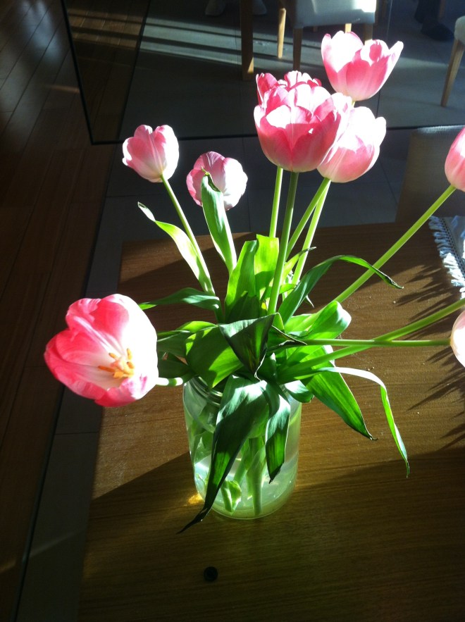 04 tulips