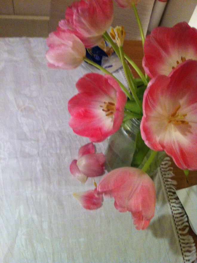 10 tulips-saturday evening