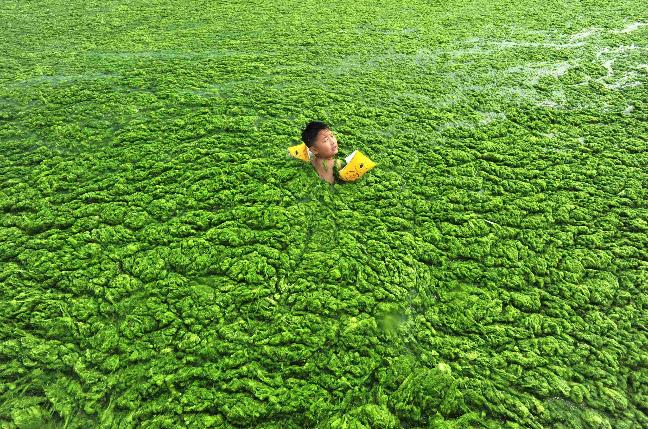 chinese boy with algae