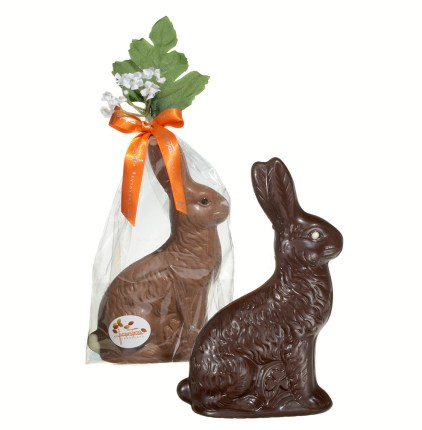 Chocolate-rabbit