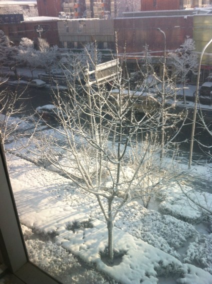 march-20-morning 002