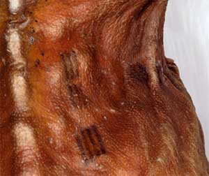 otzi tattoo