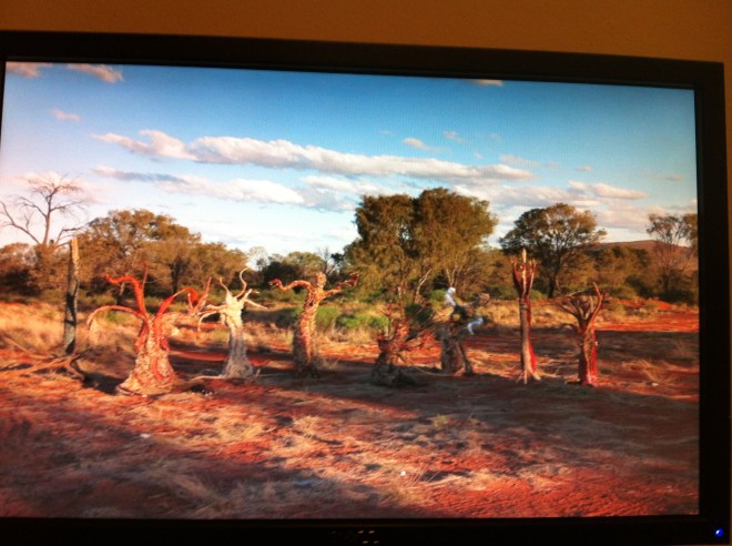 aboriginal art-sydney 019