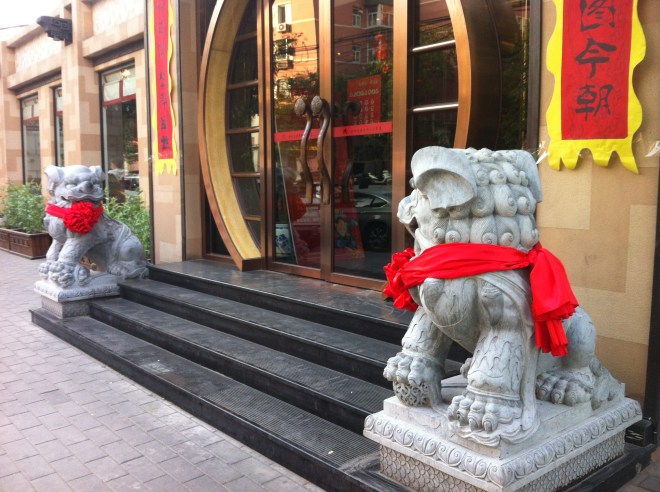 lions looking at one another