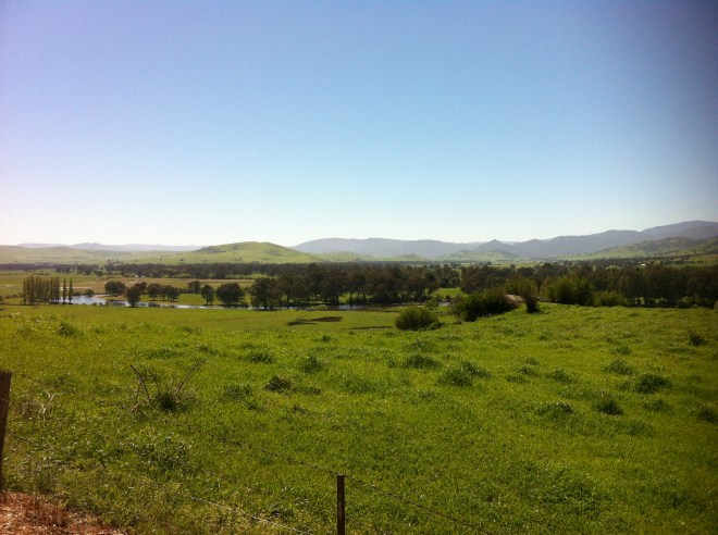 upper murray river valley-corryong 017