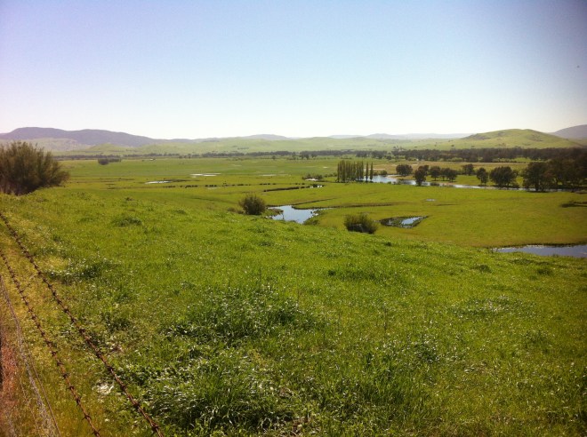 upper murray river valley-corryong 020