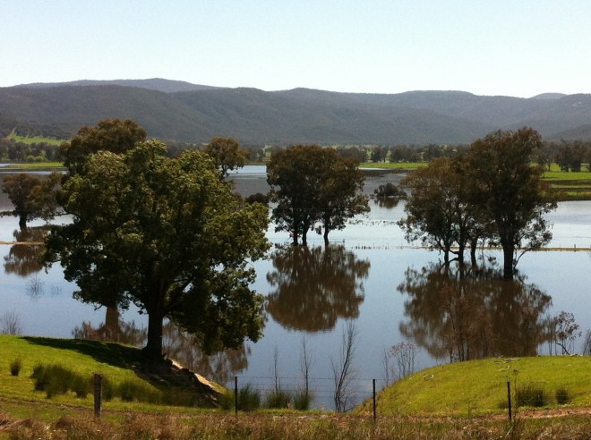 upper murray river valley-corryong 021