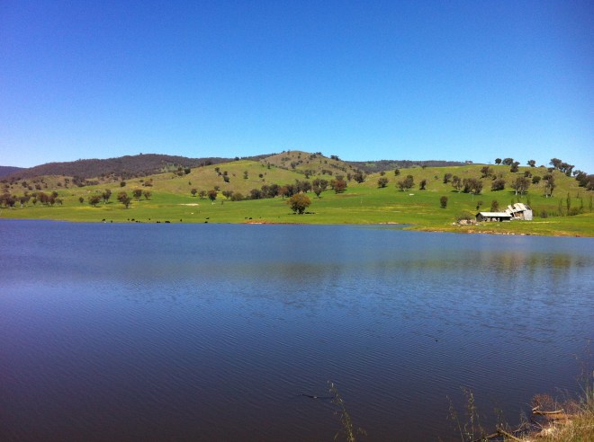 upper murray river valley-corryong 036
