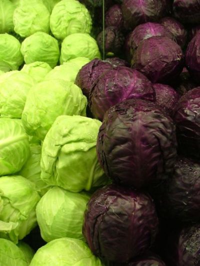 cabbage-green and purple