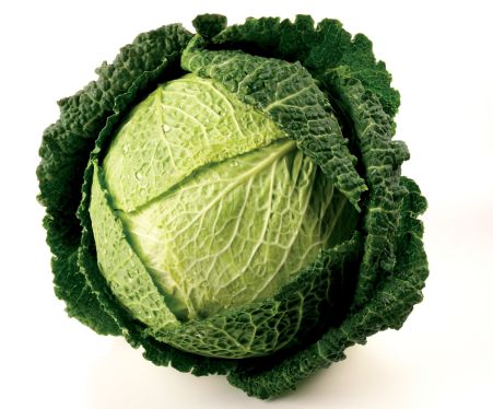 cabbage-savoy 2