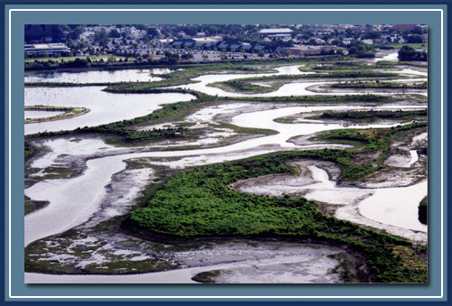 wetlands Secaucus