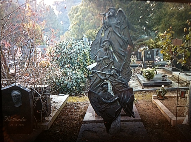 angels with trumpets