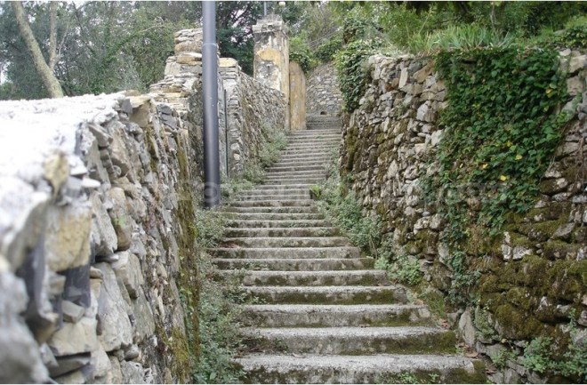 Camogli-San Rocco path-2