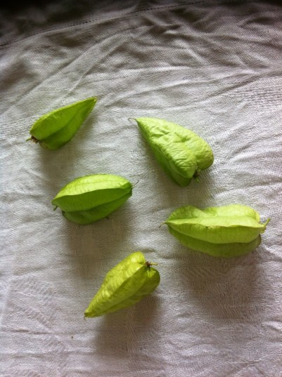 pods on table - 1 july 001