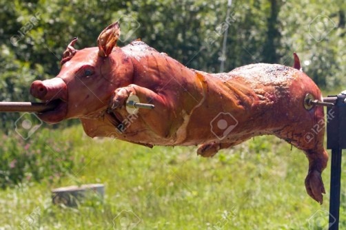 roasted pig