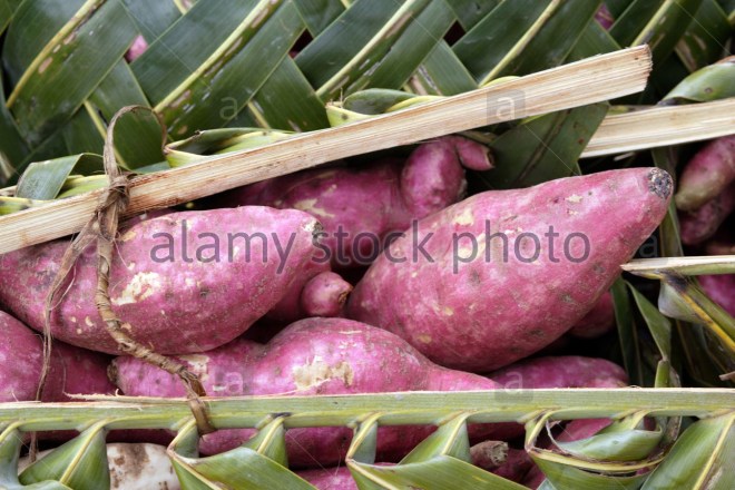 sweet potato market port vila