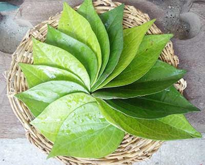 betel leaves